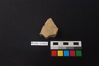 藏品(陶片)的圖片