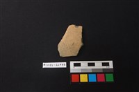 藏品(陶片)的圖片