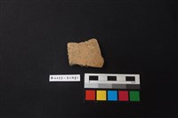 藏品(陶片)的圖片