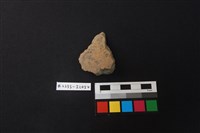 藏品(陶片)的圖片