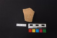 藏品(陶片)的圖片