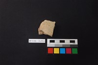 藏品(陶片)的圖片