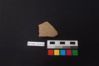 藏品(陶片)的圖片