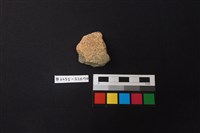 藏品(陶片)的圖片