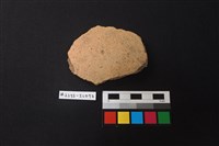 藏品(陶片)的圖片