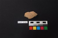 藏品(陶片)的圖片