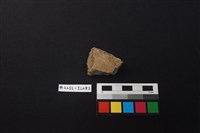 藏品(陶片)的圖片