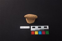 藏品(陶片)的圖片