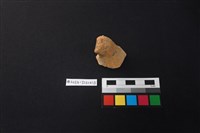 藏品(陶片)的圖片