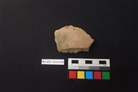 藏品(陶片)的圖片