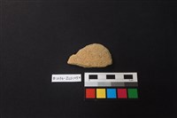 藏品(陶片)的圖片