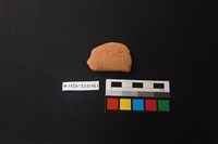 藏品(陶片)的圖片