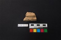 藏品(陶片)的圖片