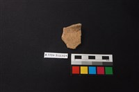 藏品(陶片)的圖片