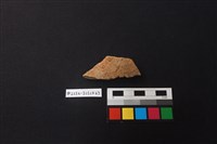 藏品(陶片)的圖片