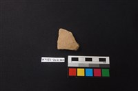 藏品(陶片)的圖片