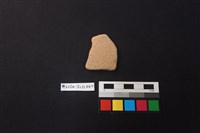 藏品(陶片)的圖片