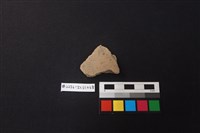 藏品(陶片)的圖片