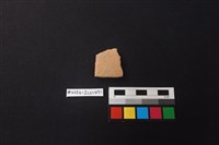 藏品(陶片)的圖片