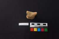 藏品(陶蓋)的圖片