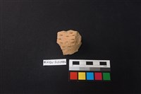 藏品(陶片)的圖片