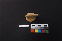 藏品(陶片)的圖片