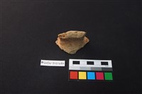 藏品(陶片)的圖片