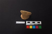 藏品(陶片)的圖片