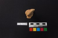 藏品(陶片)的圖片