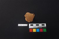 藏品(陶片)的圖片