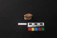 藏品(陶片)的圖片