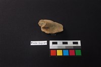 藏品(陶片)的圖片