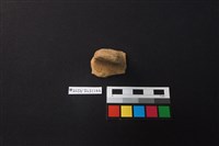 藏品(陶片)的圖片