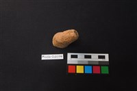 藏品(陶片)的圖片