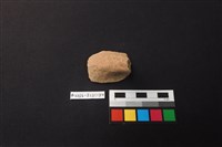 藏品(陶片)的圖片