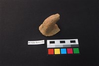 藏品(陶片)的圖片