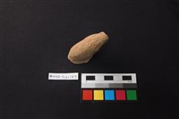 藏品(陶片)的圖片