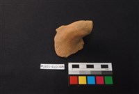 藏品(陶片)的圖片