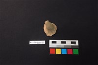 藏品(陶片)的圖片