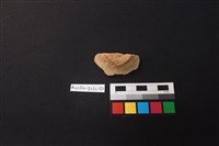 藏品(陶片)的圖片