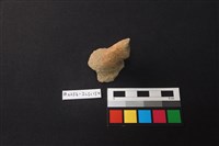 藏品(陶片)的圖片