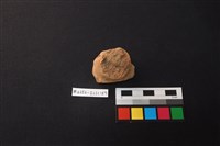 藏品(陶片)的圖片