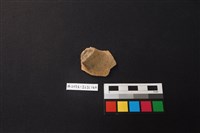 藏品(陶片)的圖片