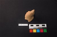 藏品(陶片)的圖片