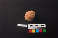 藏品(陶片)的圖片