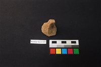 藏品(陶片)的圖片