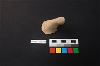 藏品(陶片)的圖片