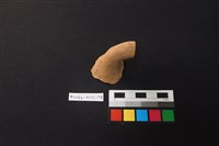 藏品(陶片)的圖片