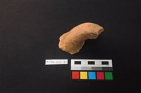 藏品(陶片)的圖片