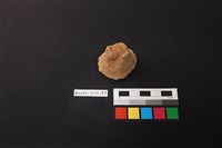 藏品(陶片)的圖片